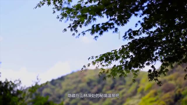 每天的生活如何过才会更有意义呢？游戏画面