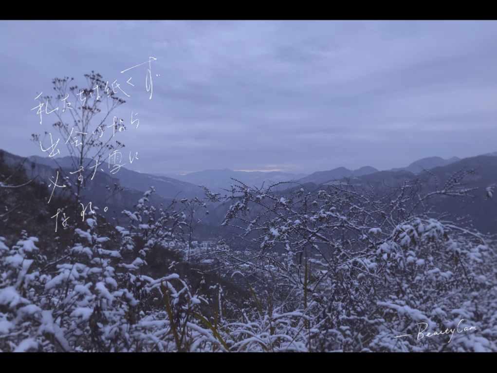 新熊出没找不同