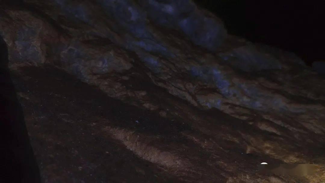 欢欢喜喜过大年·龙腾鼓舞贺新春丨平凉市文化馆迎新年走进军干所慰问演出
