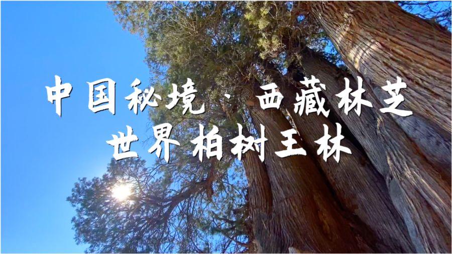 肾好的男人,一天排尿次数一般不会超过“这个数”,不妨自测一下