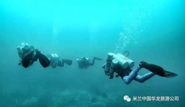 动物帮帮忙保卫家园
