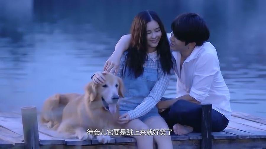 安比社区蔬菜丰收采收忙