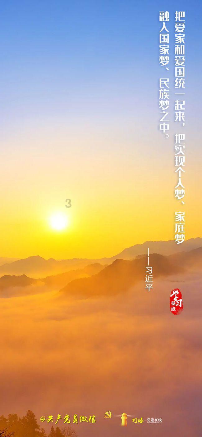 救援可爱小猪仔