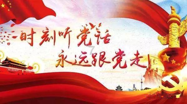 这回不是别人家的飞机!乘坐海南航空真的可以带狗了!