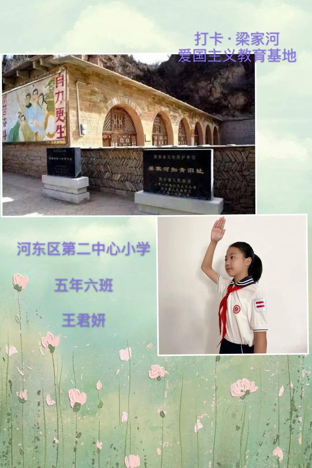 蔬菜基地 收割忙