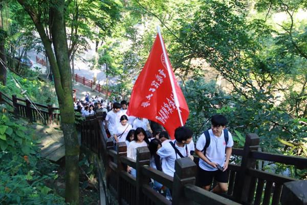 它凭这一点,一公斤十几万!