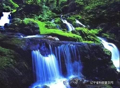 全民剧本大师内置菜单