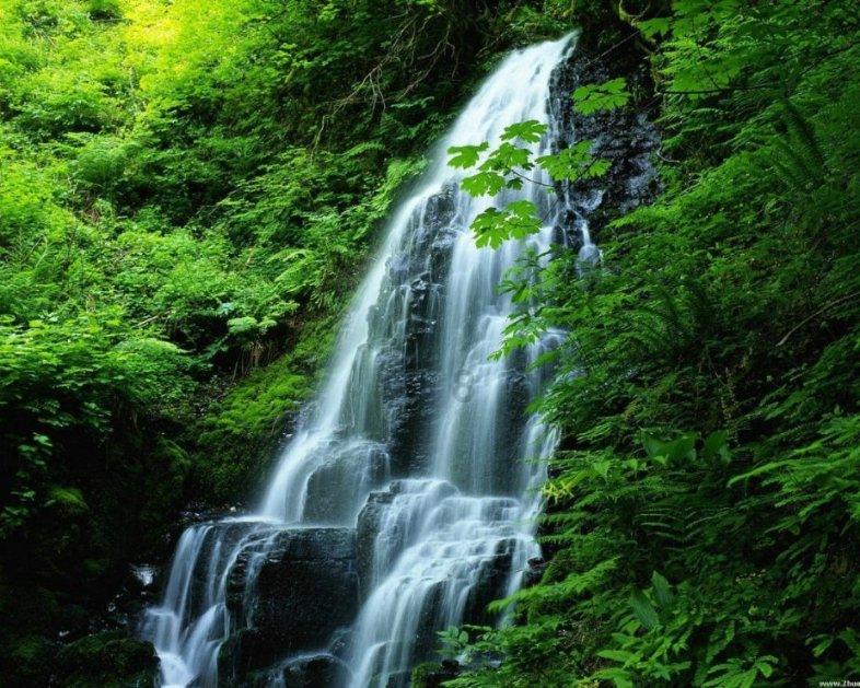九华旅游(603199.SH):预计2023年净利润1.75亿元左右 同比扭亏为盈