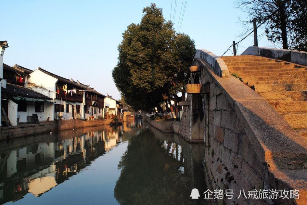 粮食垂直提升机 塑料颗粒输送机 165榨油坊上料机