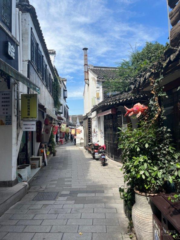重庆挖出明朝古墓,墓墙用青花瓷堆成价值过亿,考古队:头一回见