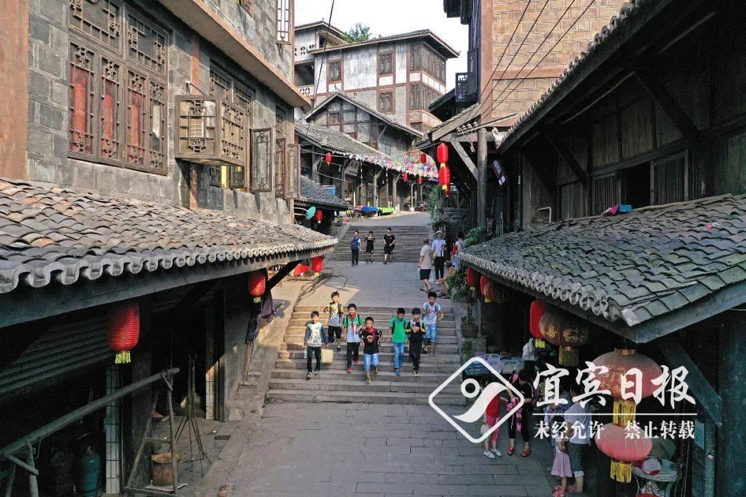 春雨直播app